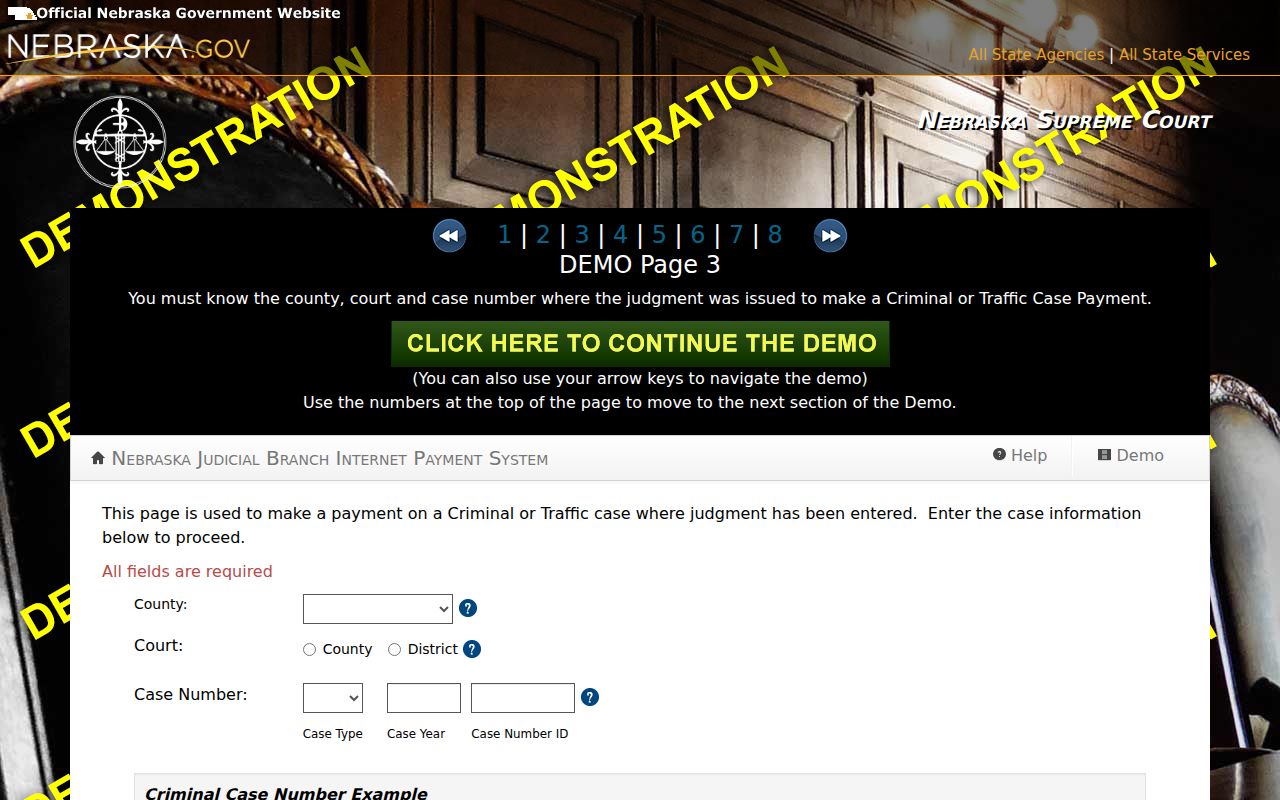 Banner criminal docket search fields in Nebraska criminal and traffic case demonstration